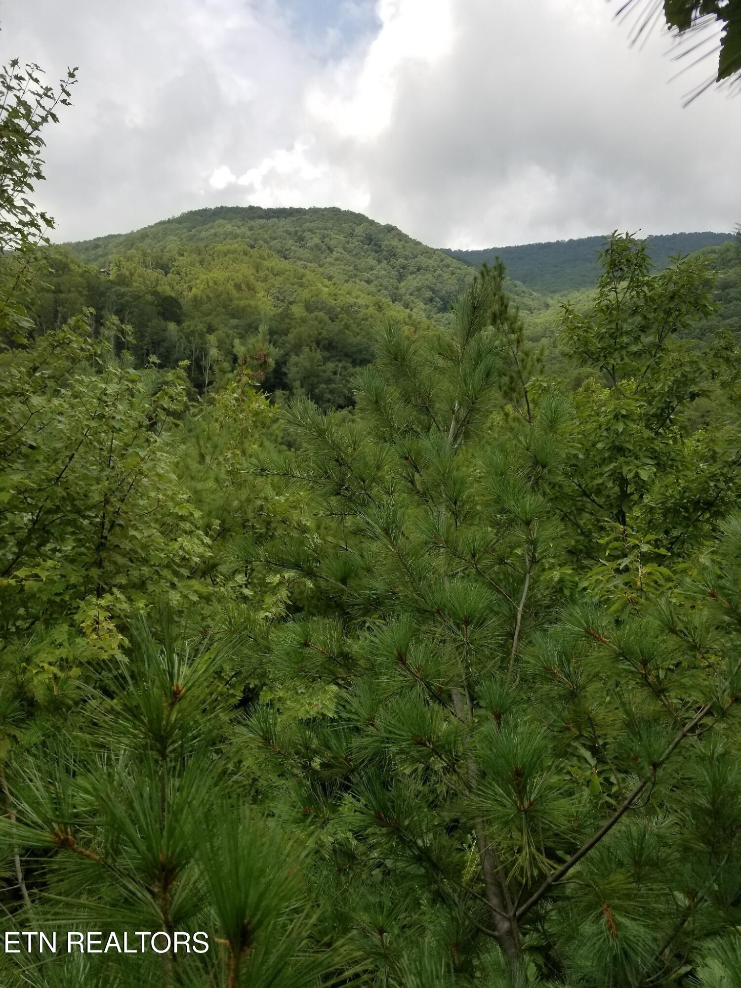 0 Fern Point Drive Sevierville TN 37862