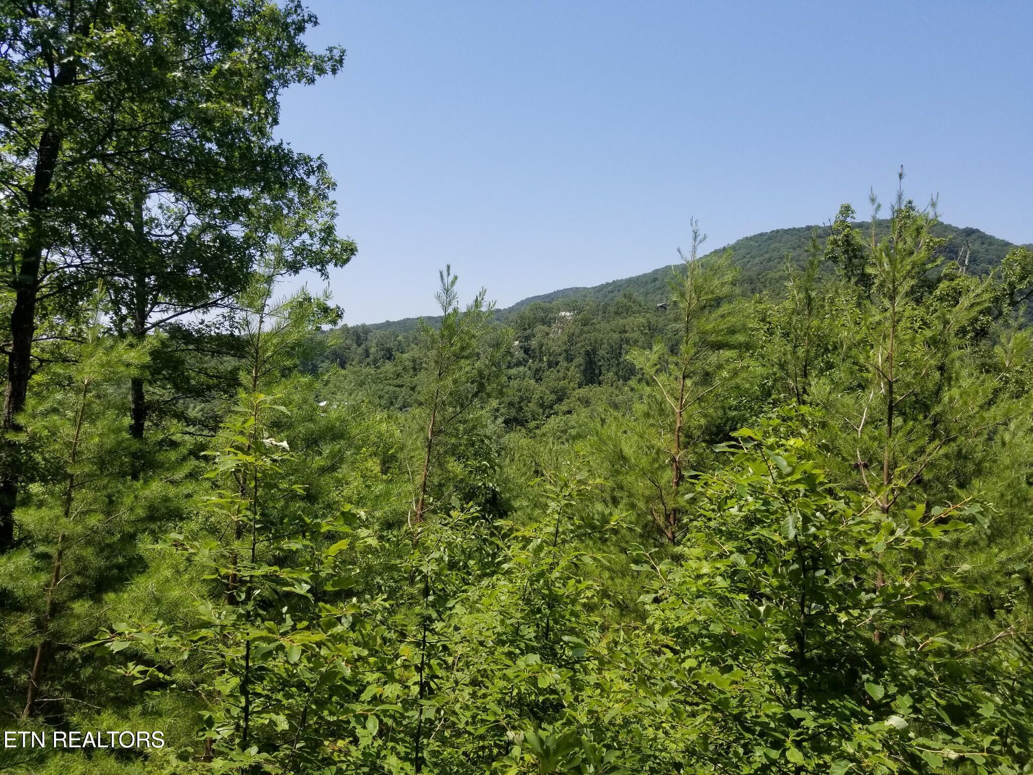 0 Fern Point Drive Sevierville TN 37862