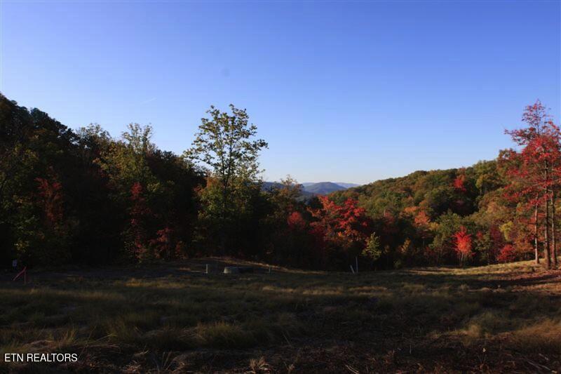 0 Fern Point Drive Sevierville TN 37862