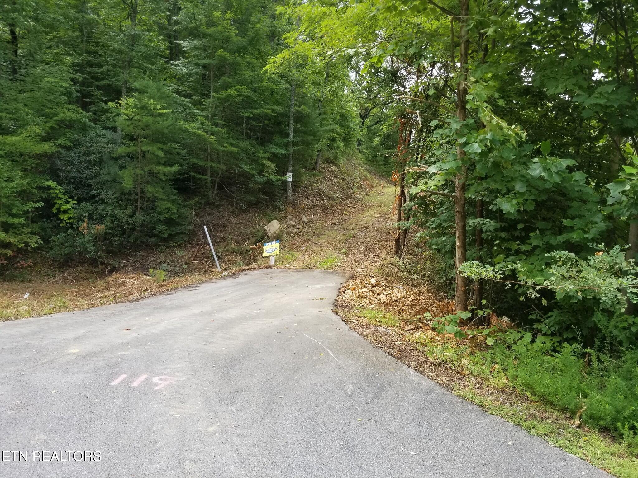 0 Fern Point Drive Sevierville TN 37862