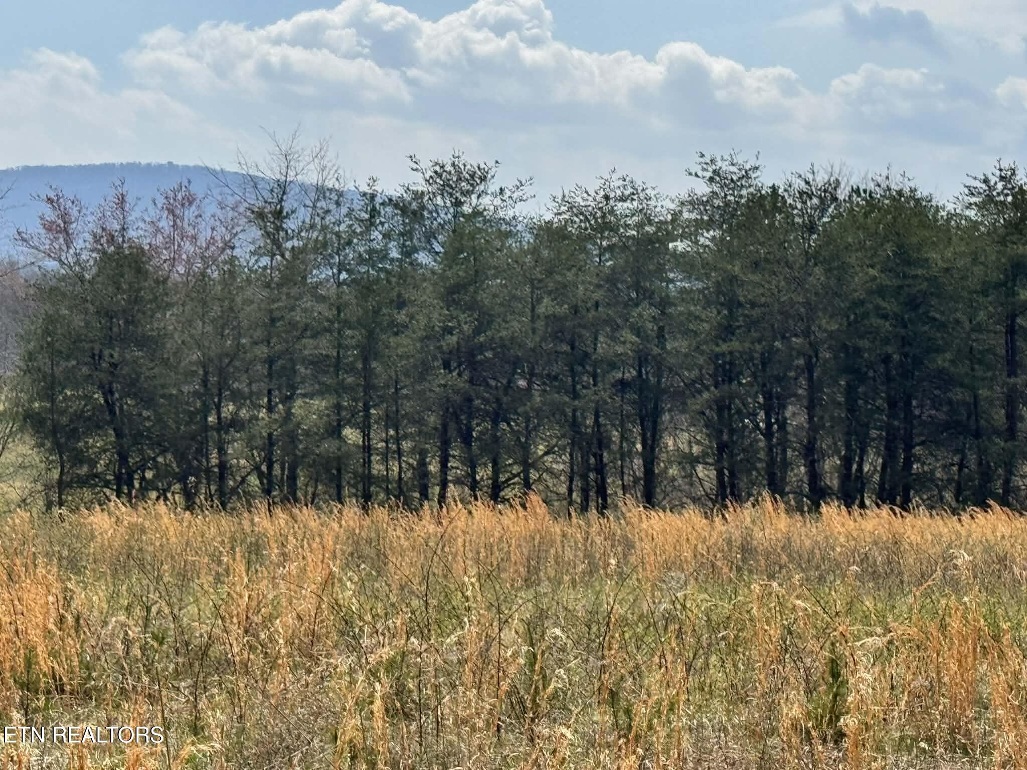 Knox Crossville TN 38555