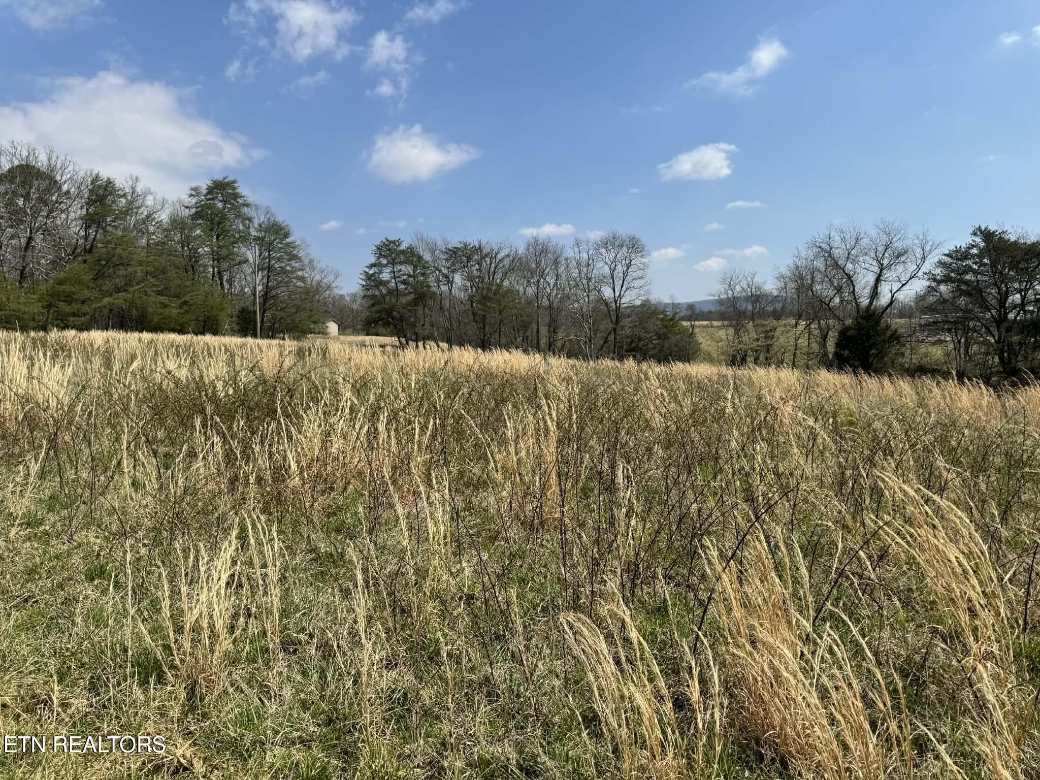 Knox Lane Crab Orchard TN 37723