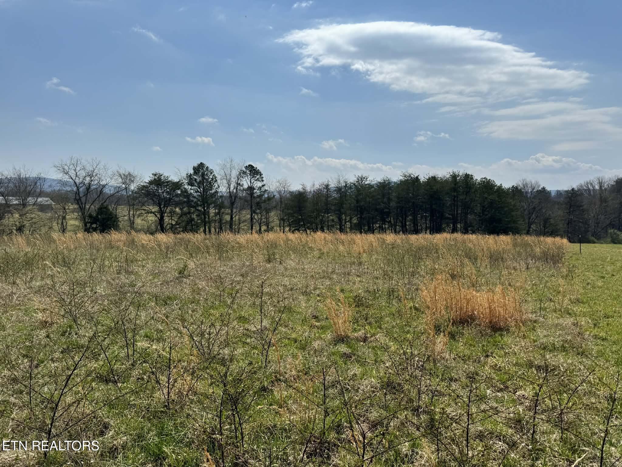 Knox Lane Crab Orchard TN 37723