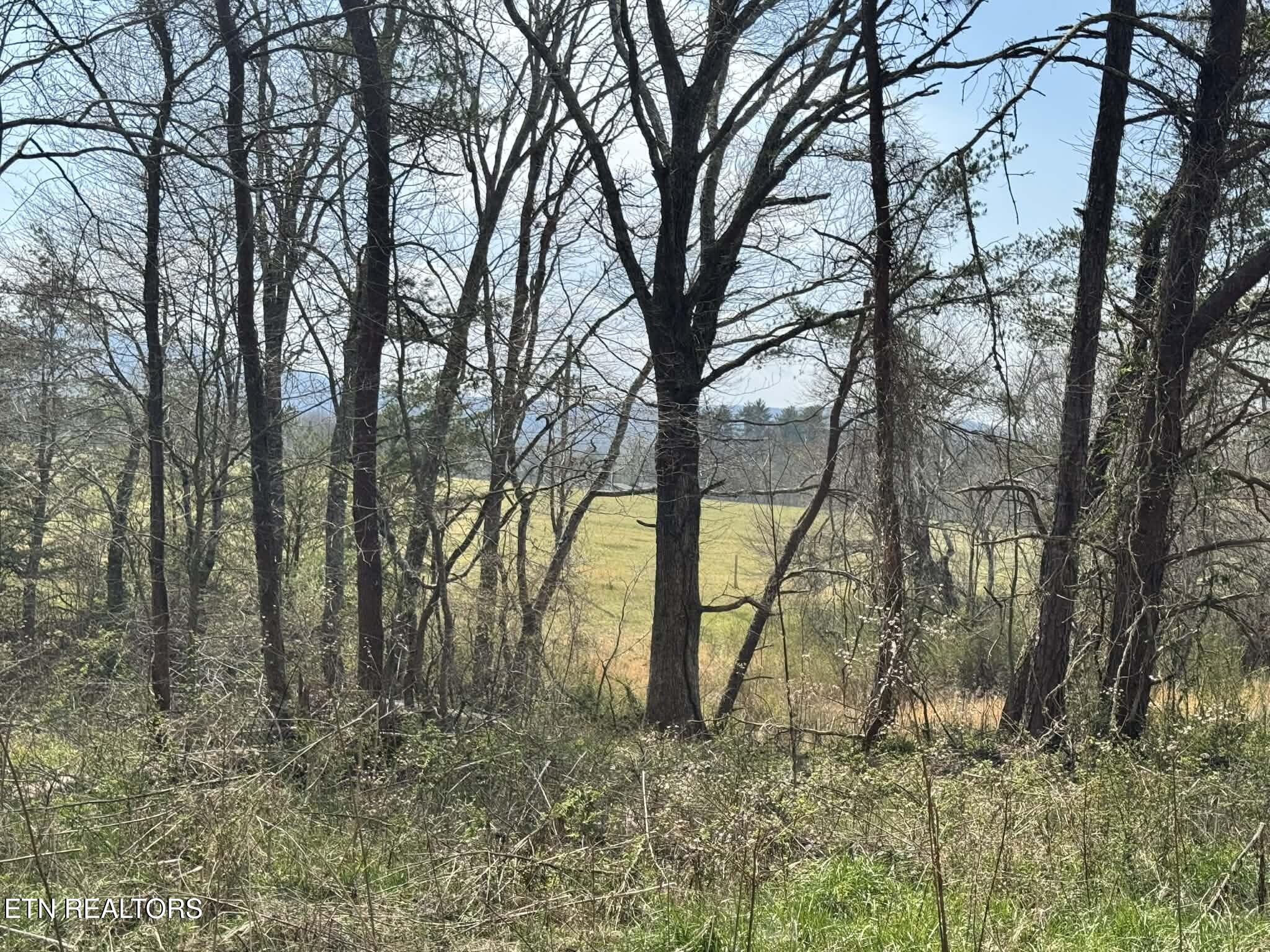 Knox Lane Crab Orchard TN 37723