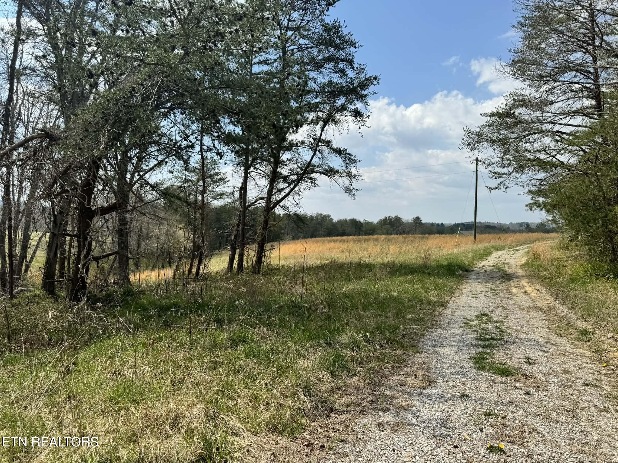 Knox Lane Crab Orchard TN 37723