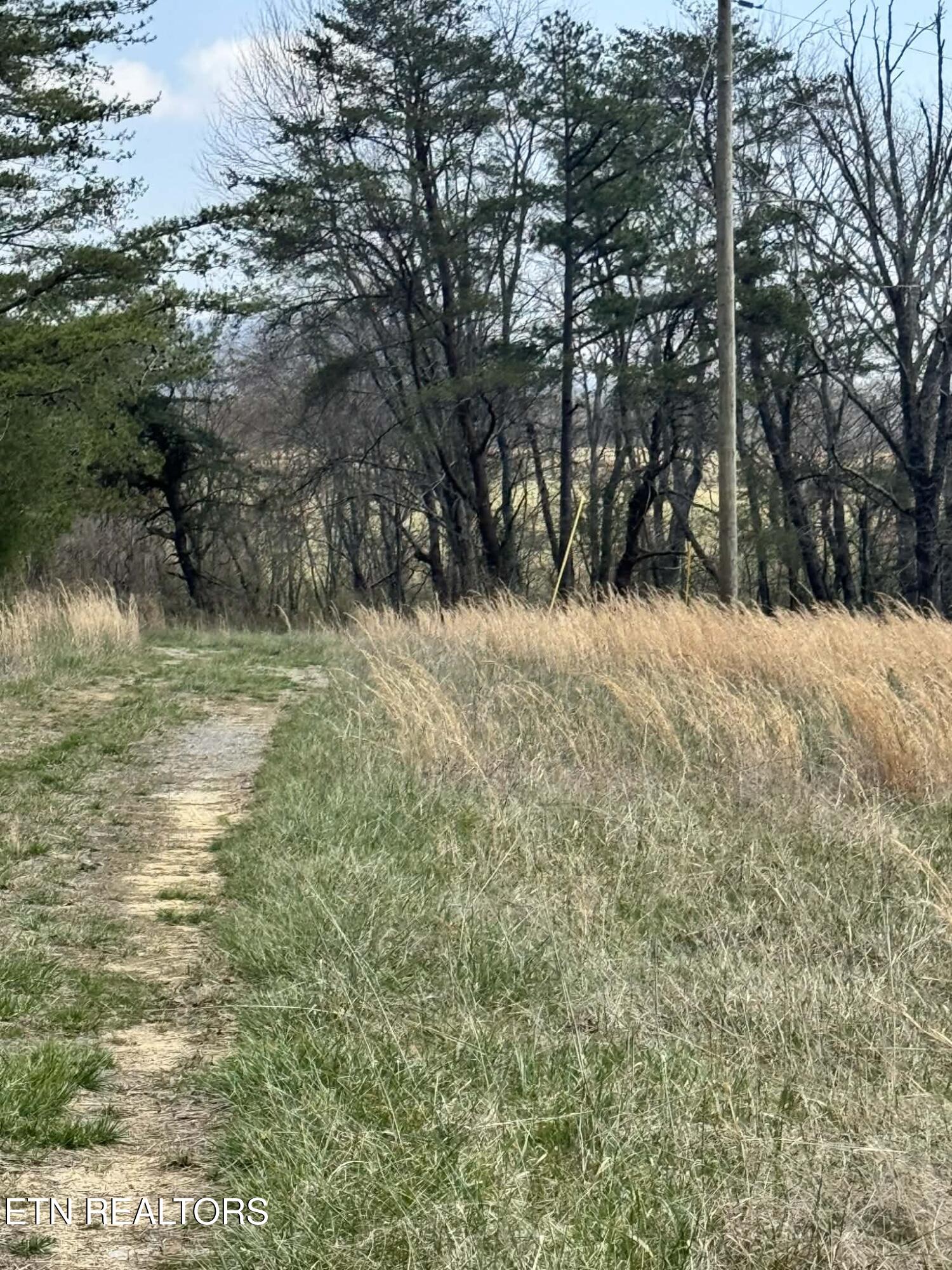 Knox Lane Crab Orchard TN 37723