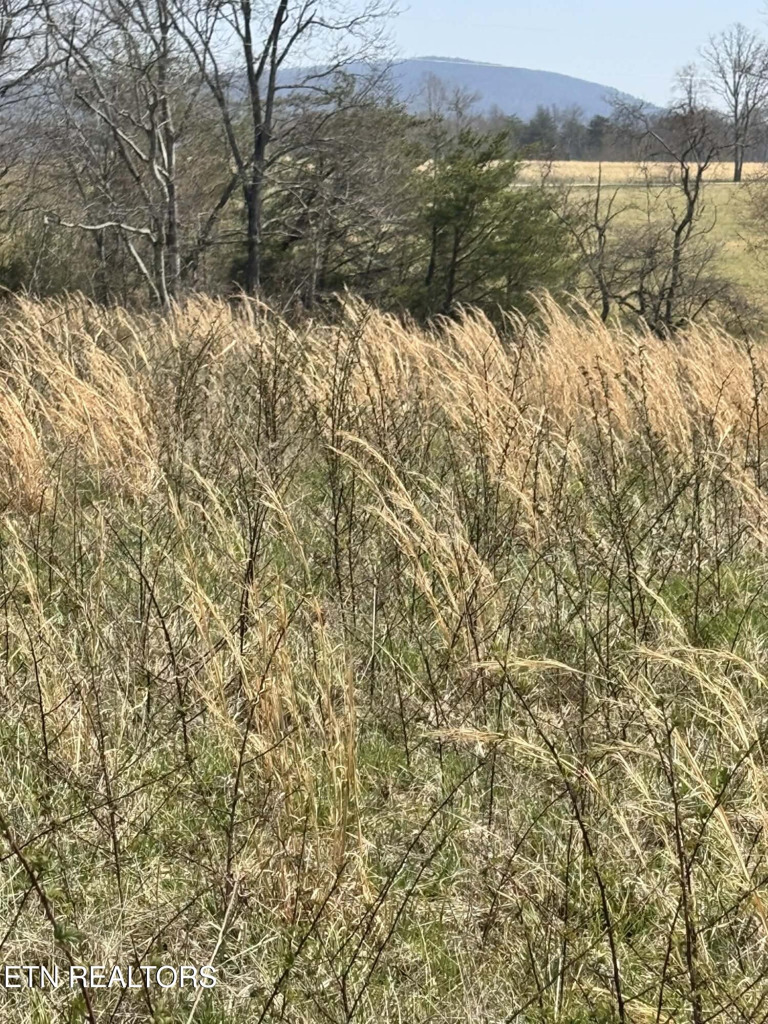 Knox Lane Crab Orchard TN 37723