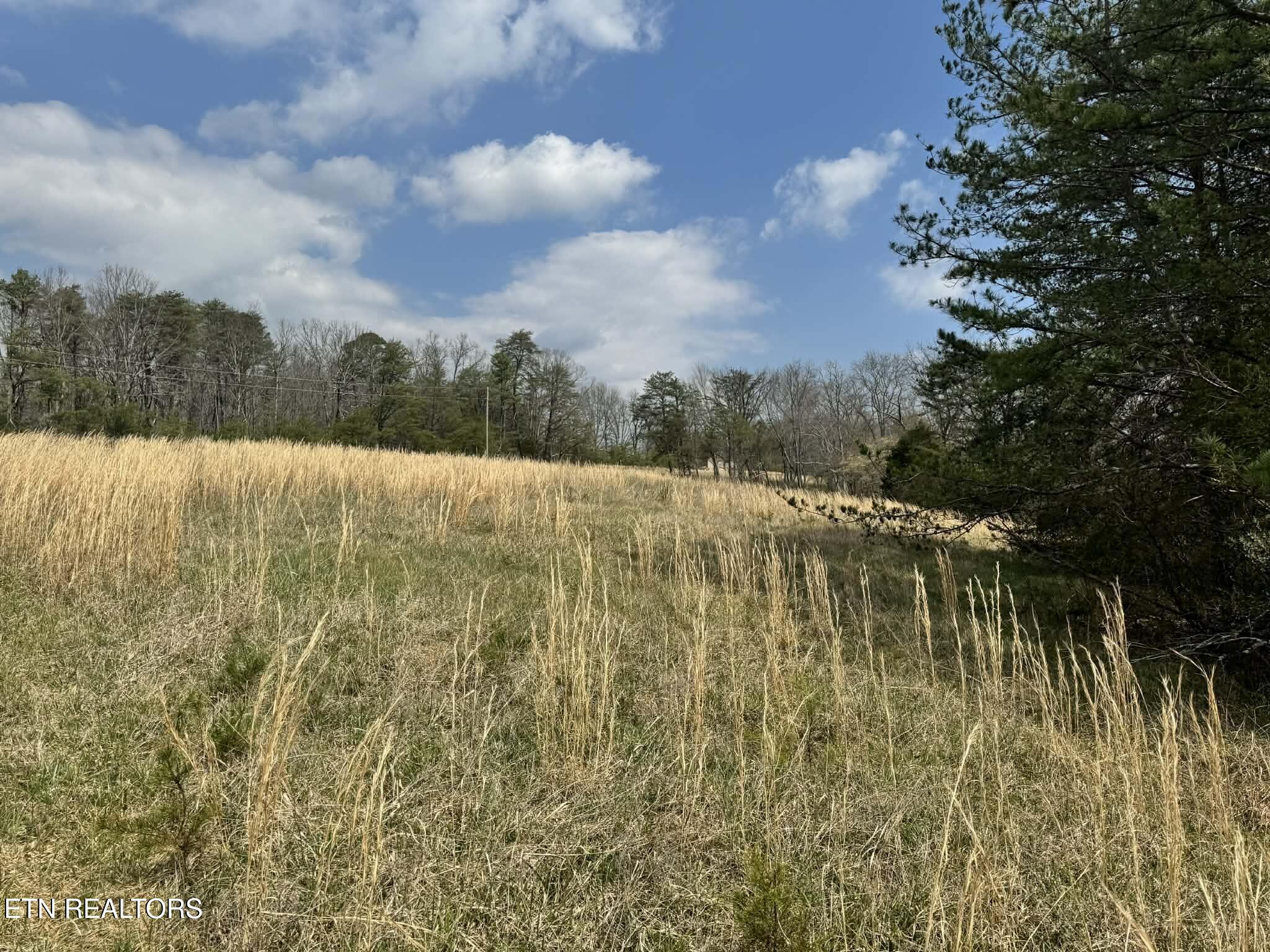 Knox Lane Crab Orchard TN 37723