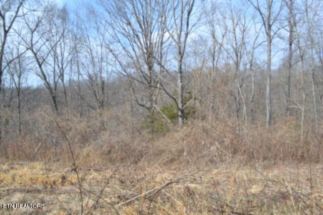 4.13AC Hush Hollow Lane Baxter TN 38544
