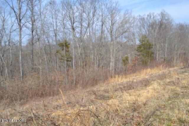 4.13AC Hush Hollow Lane Baxter TN 38544
