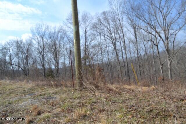 4.13AC Hush Hollow Lane Baxter TN 38544