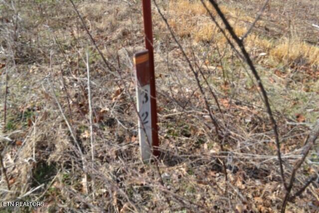 4.13AC Hush Hollow Lane Baxter TN 38544