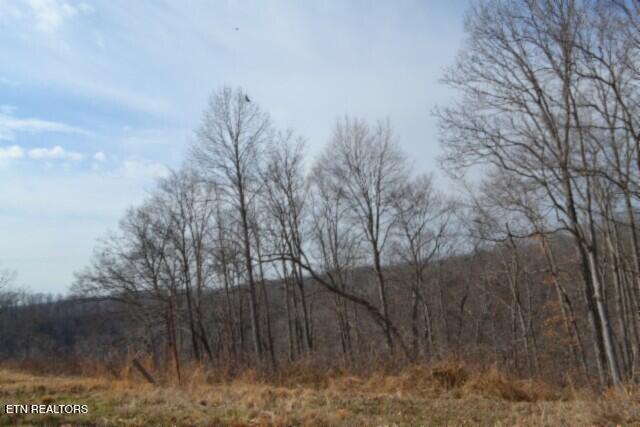 4.13AC Hush Hollow Lane Baxter TN 38544