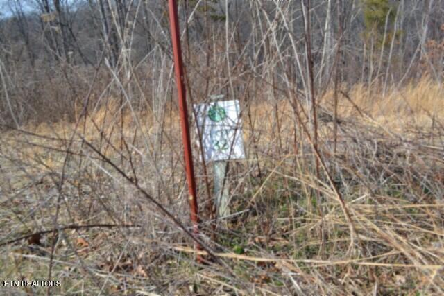 4.13AC Hush Hollow Lane Baxter TN 38544