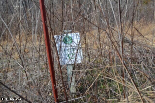 4.13AC Hush Hollow Lane Baxter TN 38544