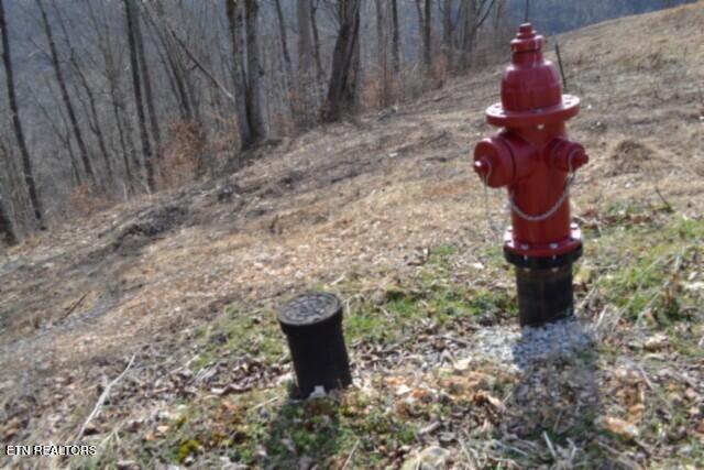 4.13AC Hush Hollow Lane Baxter TN 38544