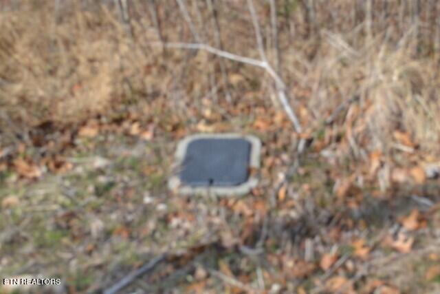 4.13AC Hush Hollow Lane Baxter TN 38544