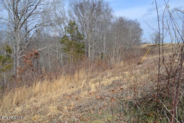 4.13AC Hush Hollow Lane Baxter TN 38544