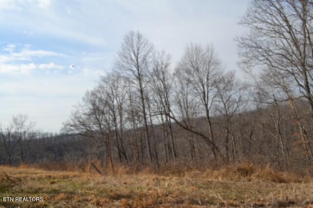 4.13AC Hush Hollow Lane Baxter TN 38544