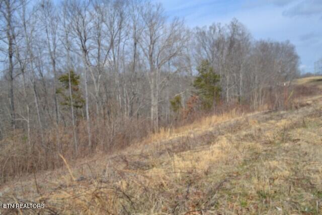 4.13AC Hush Hollow Lane Baxter TN 38544
