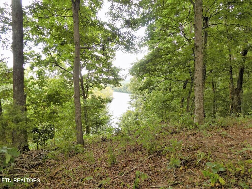 2027 River Mist New Market TN 37820