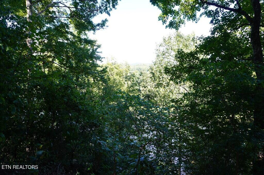 2027 River Mist New Market TN 37820