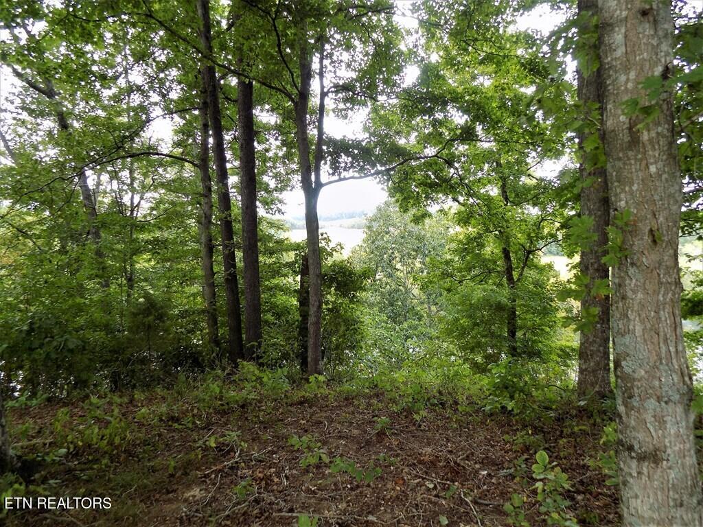 2027 River Mist New Market TN 37820