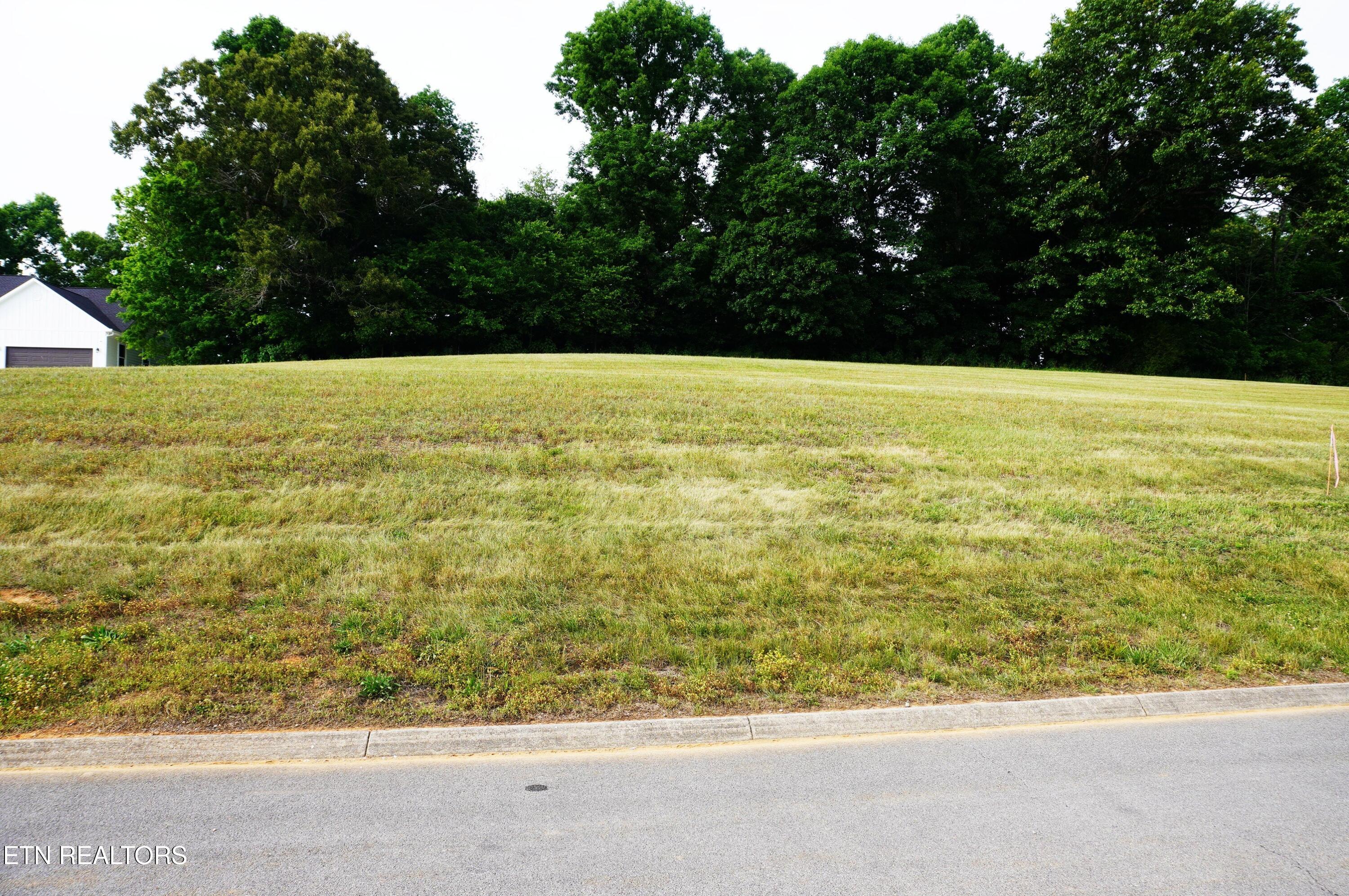 2027 River Mist New Market TN 37820