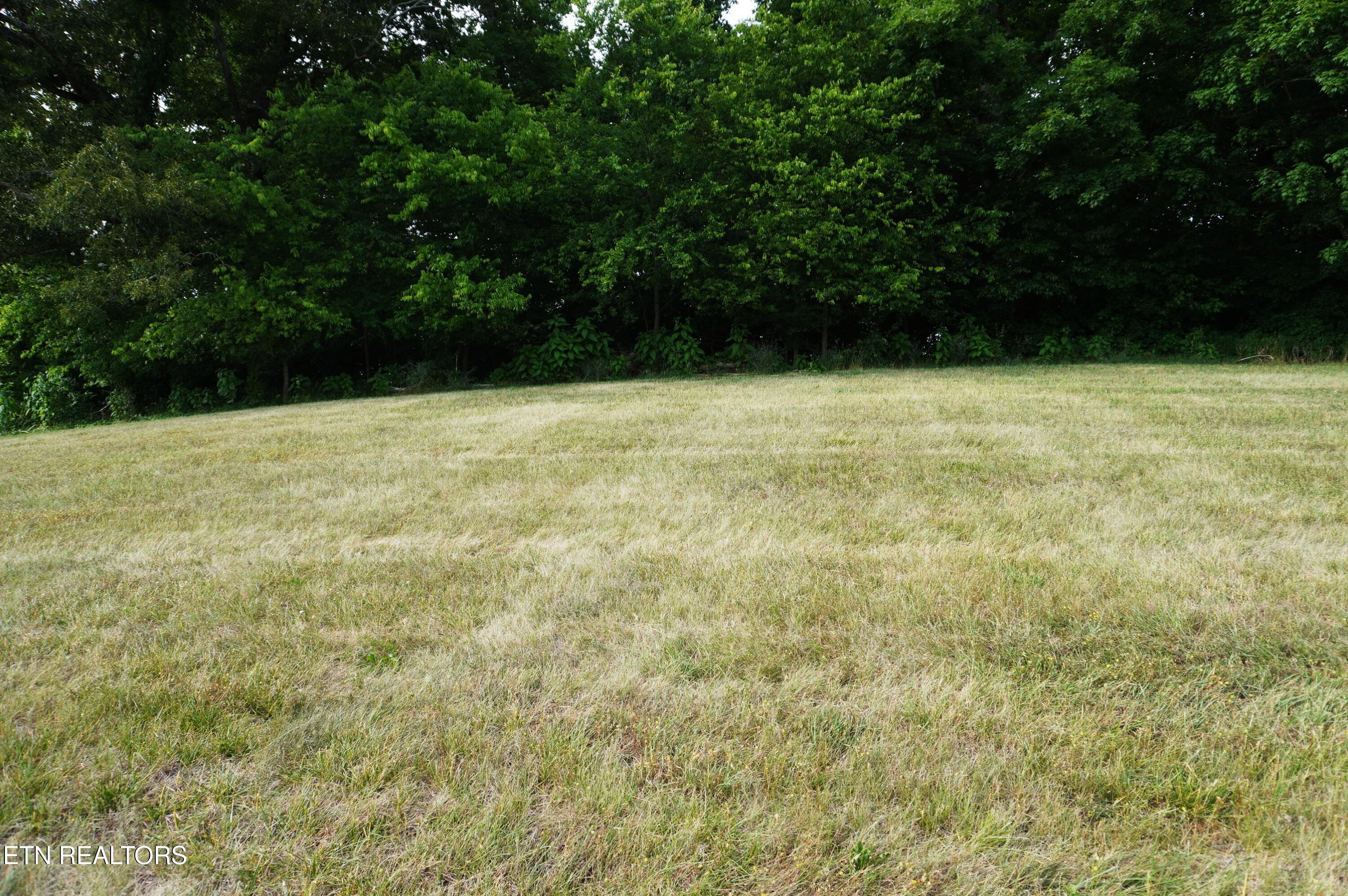 2027 River Mist New Market TN 37820