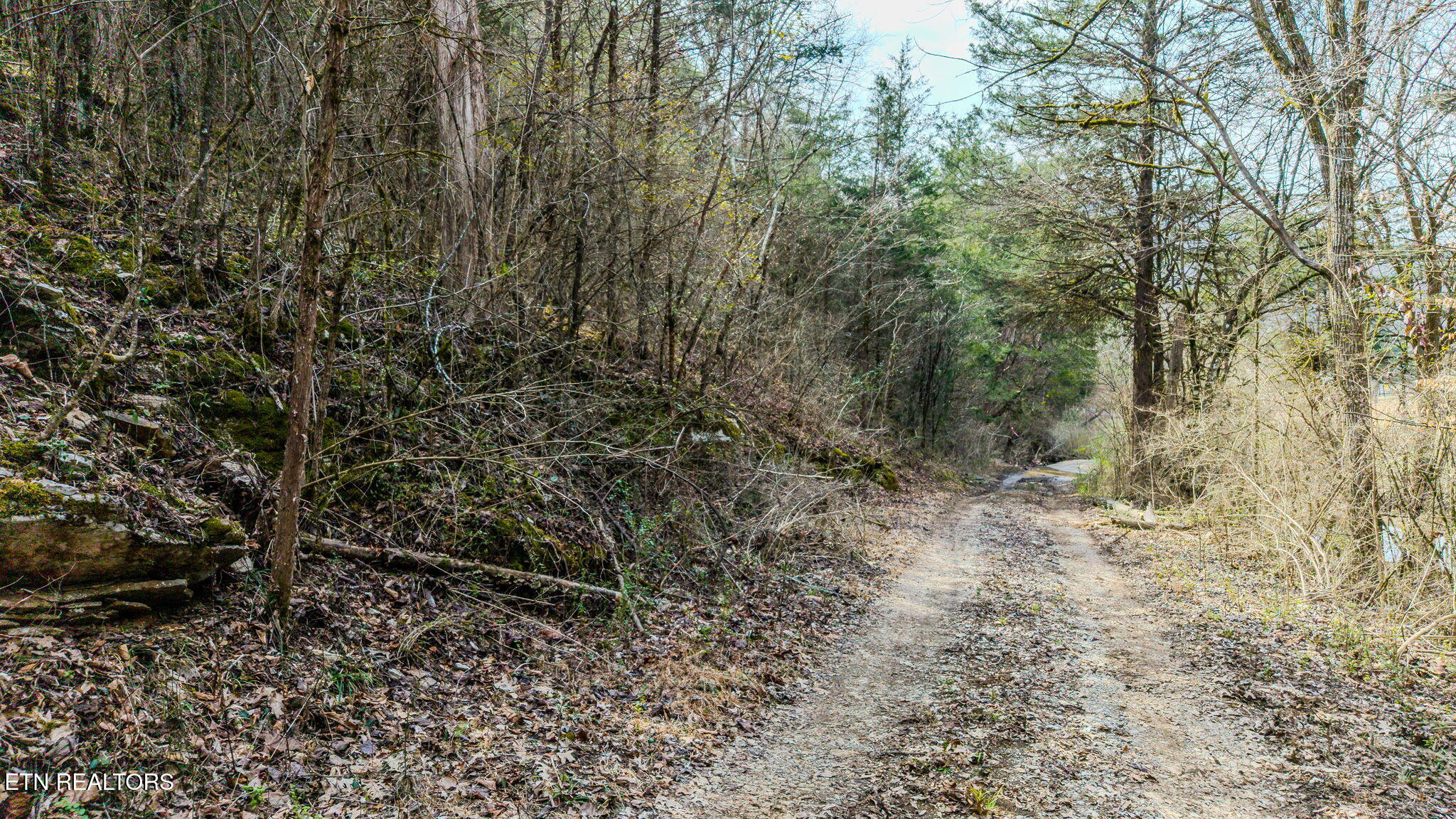 9406 Heiskell Road Heiskell TN 37754