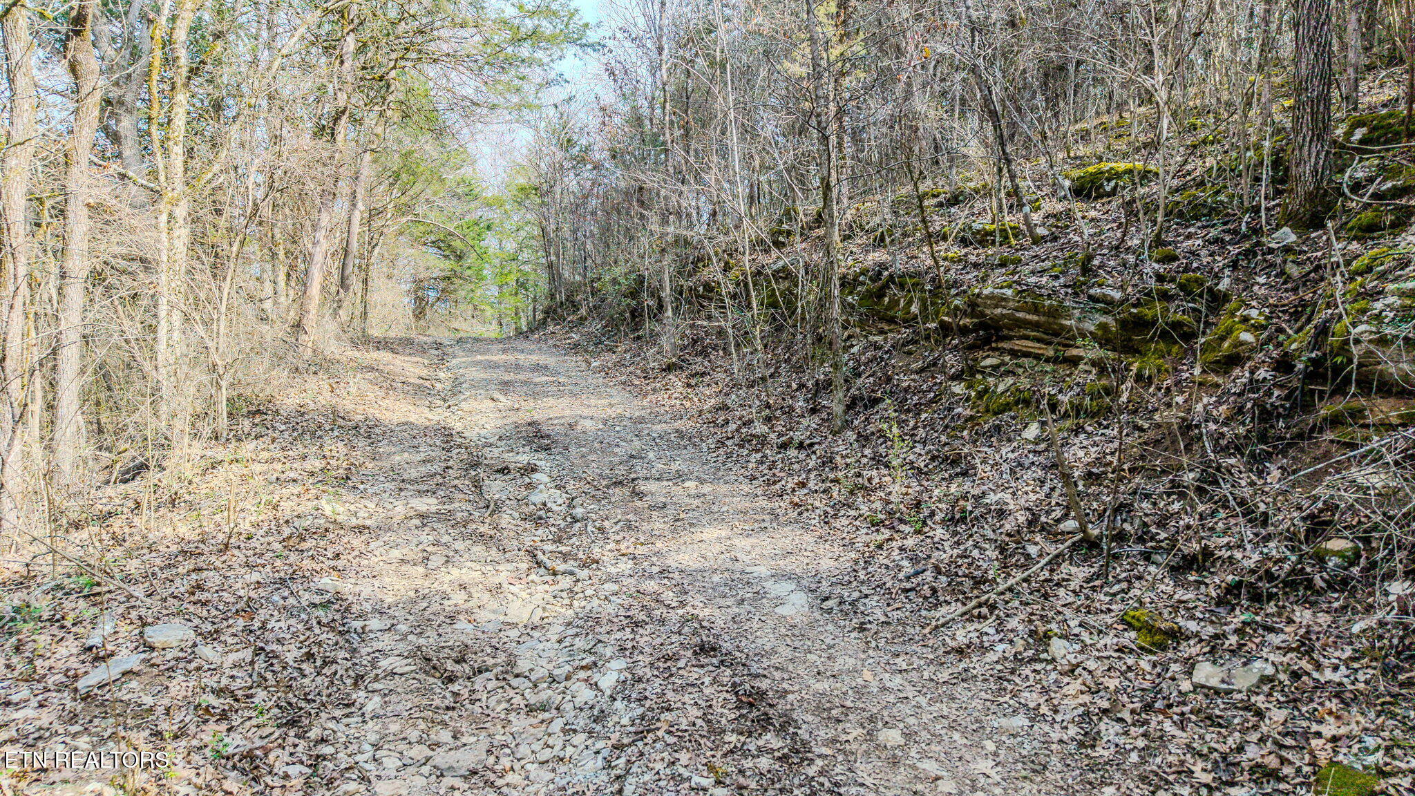 9406 Heiskell Road Heiskell TN 37754