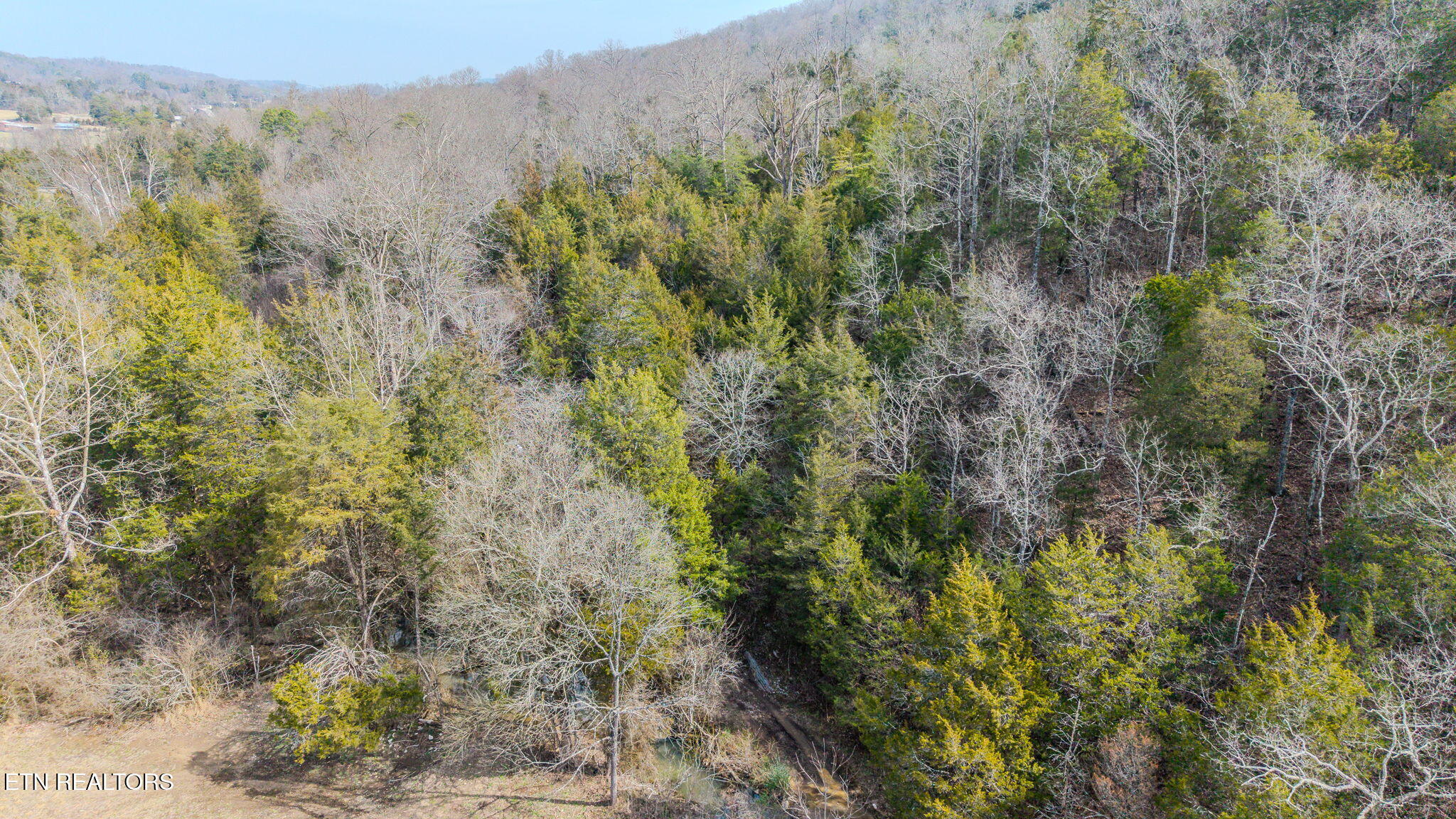 9406 Heiskell Road Heiskell TN 37754