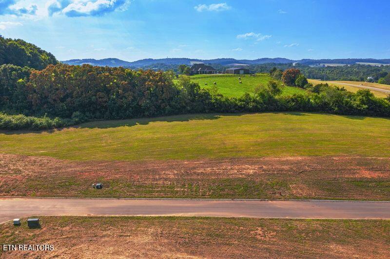 Lot 4 Pine Meadows Drive White Pine TN 37890