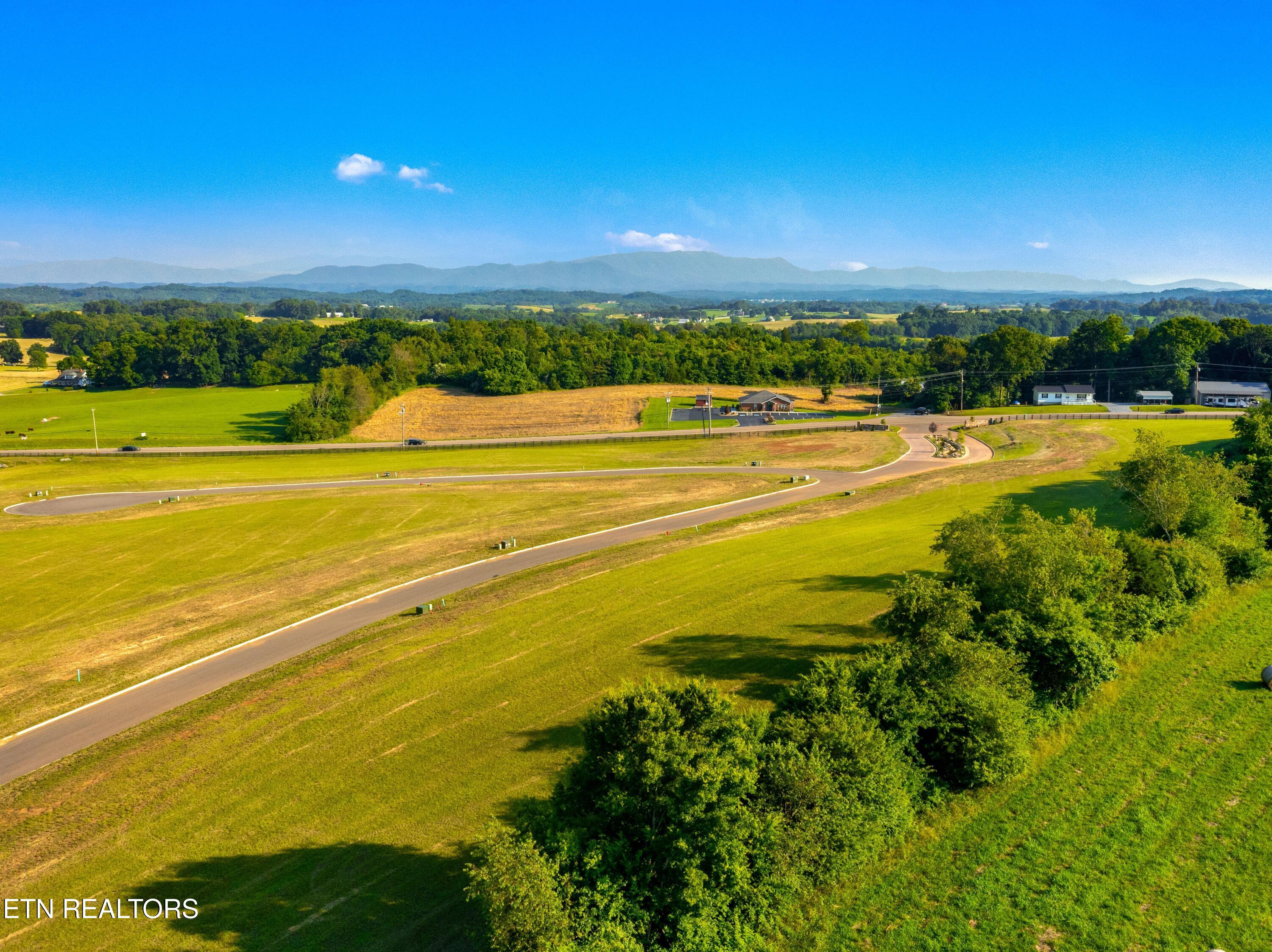 Lot 4 Pine Meadows Drive White Pine TN 37890