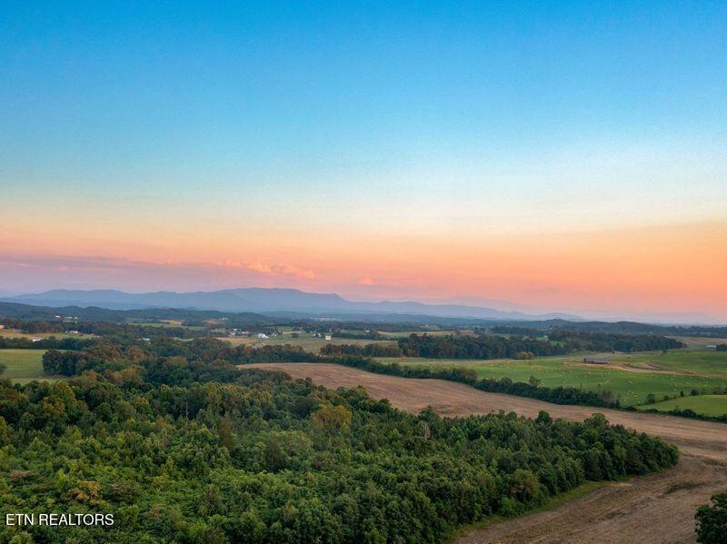 Lot 4 Pine Meadows Drive White Pine TN 37890