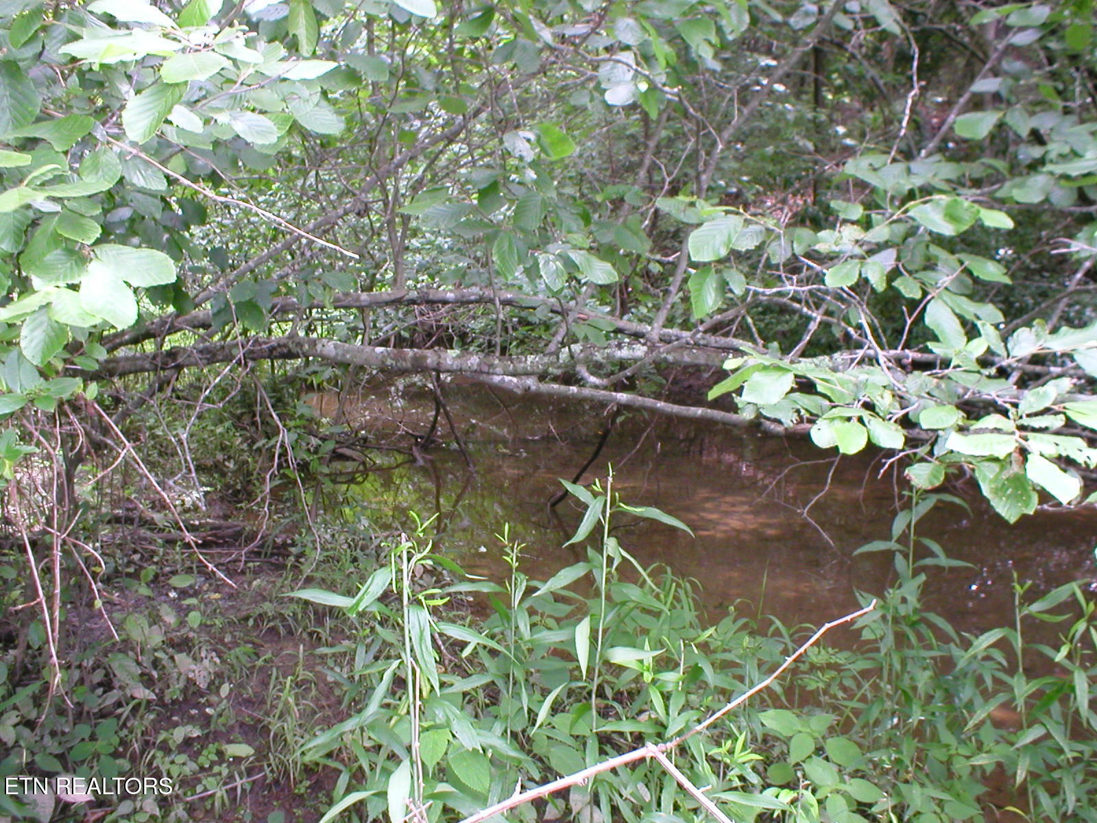 50 E Cove Road Monterey TN 38574