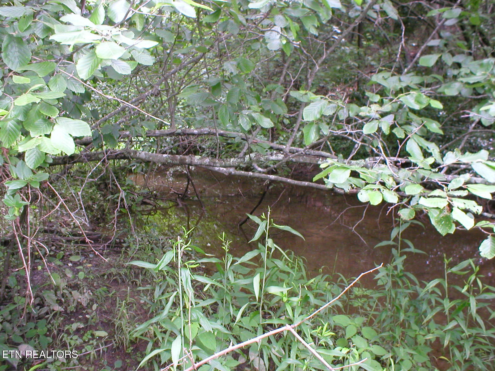 50 E Cove Road Monterey TN 38574