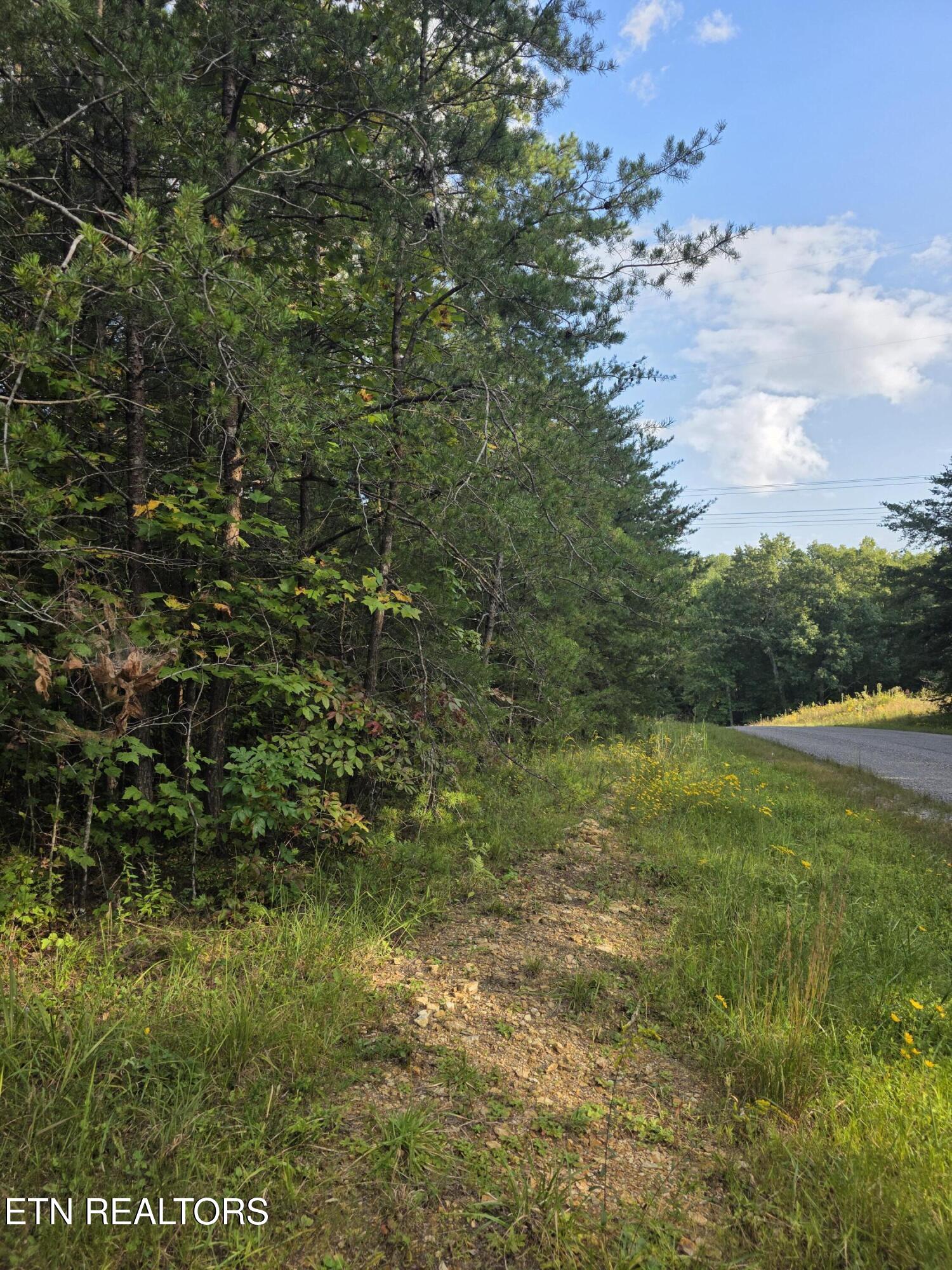 50 E Cove Road Monterey TN 38574