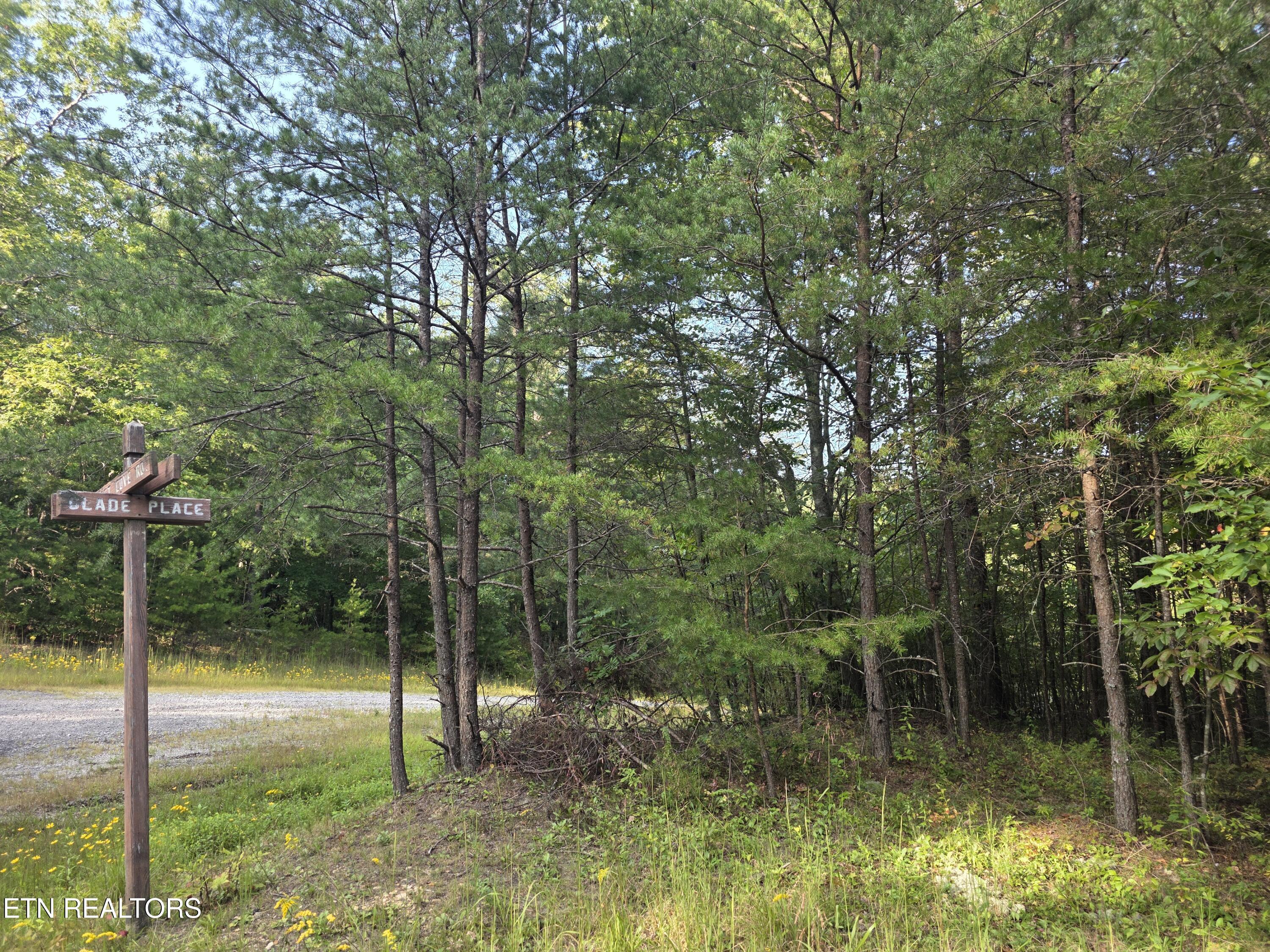 50 E Cove Road Monterey TN 38574