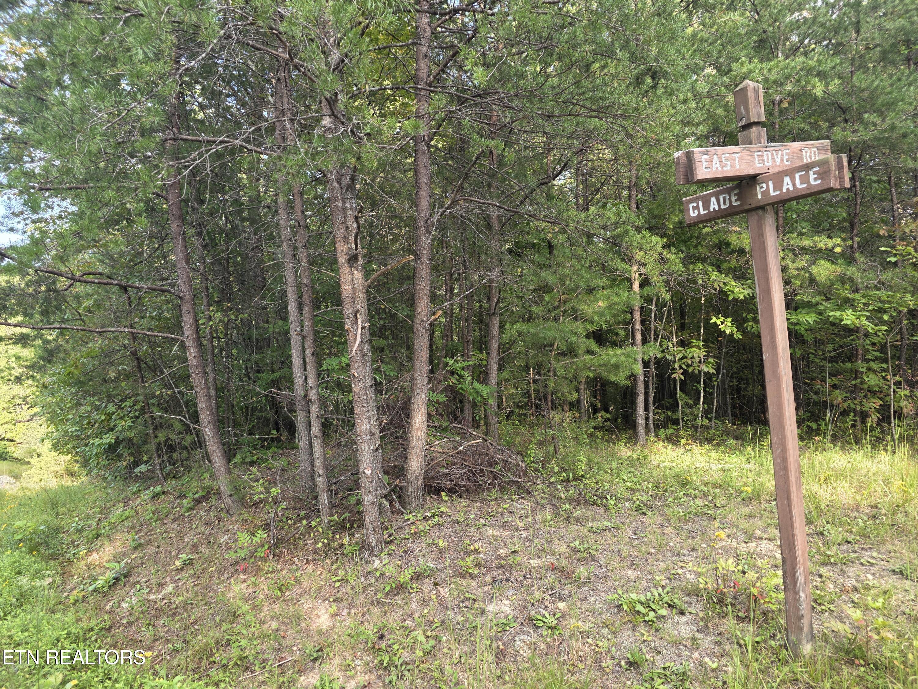 50 E Cove Road Monterey TN 38574