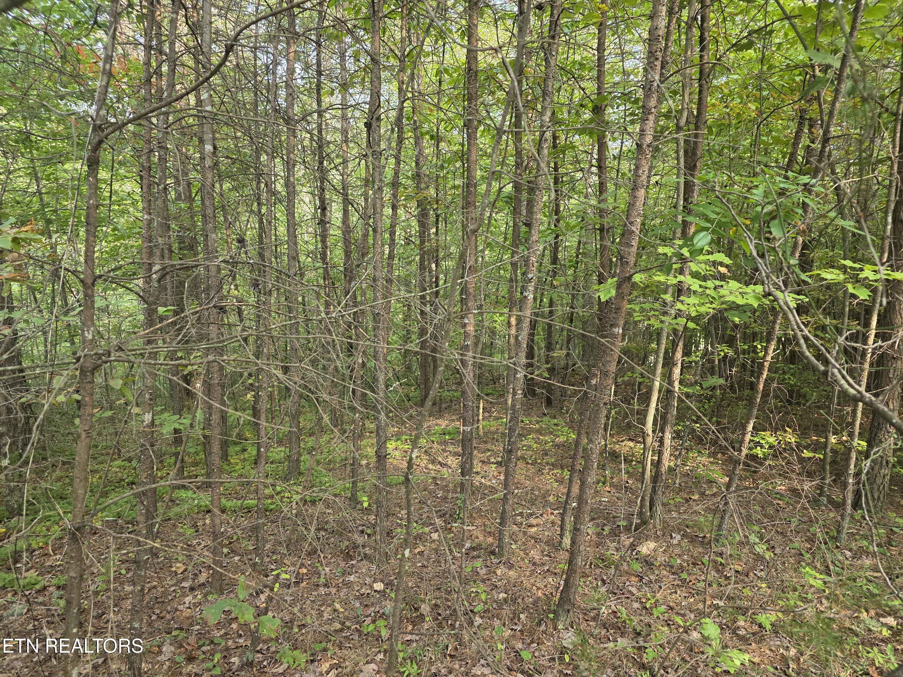 50 E Cove Road Monterey TN 38574