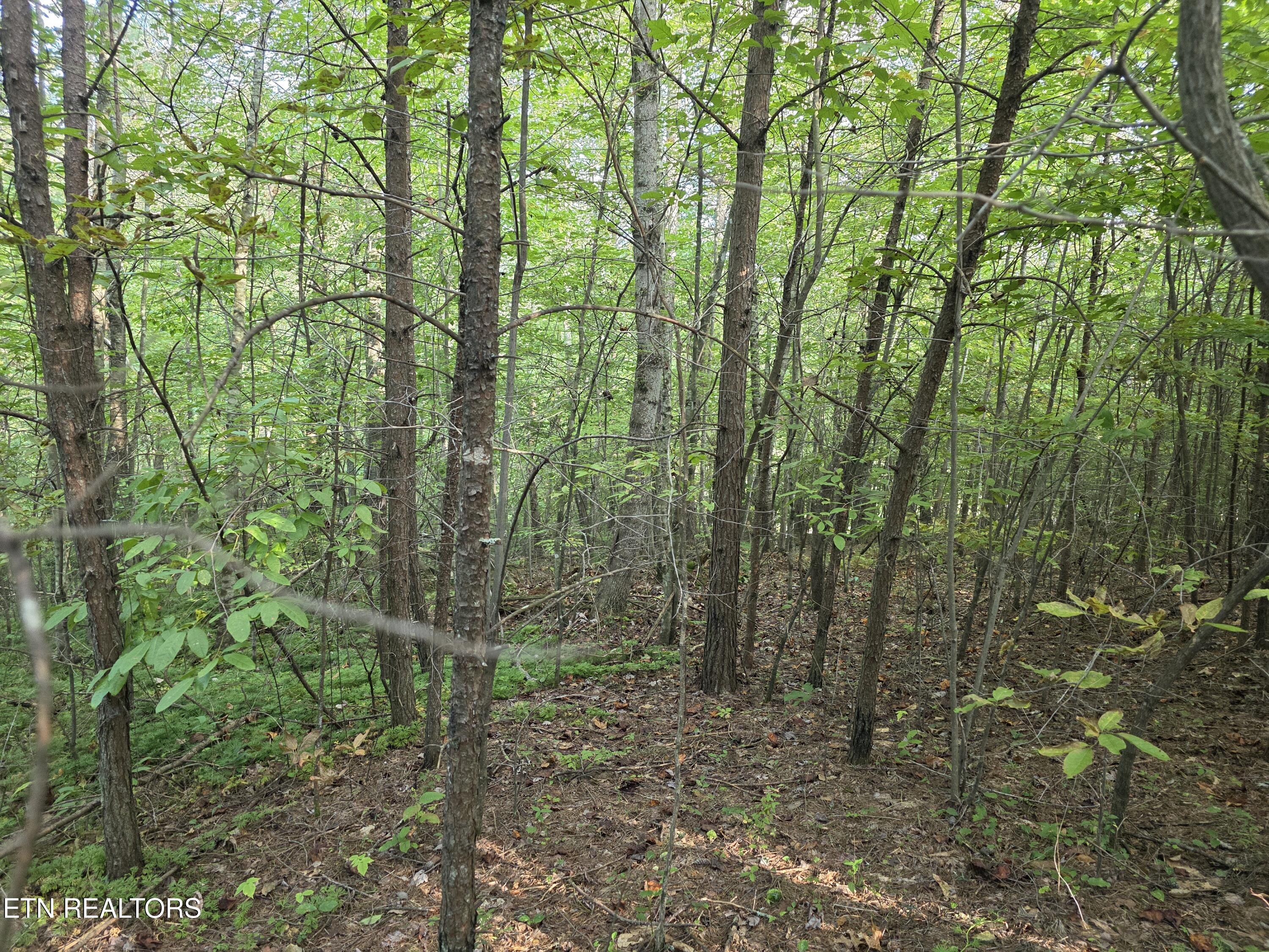 50 E Cove Road Monterey TN 38574