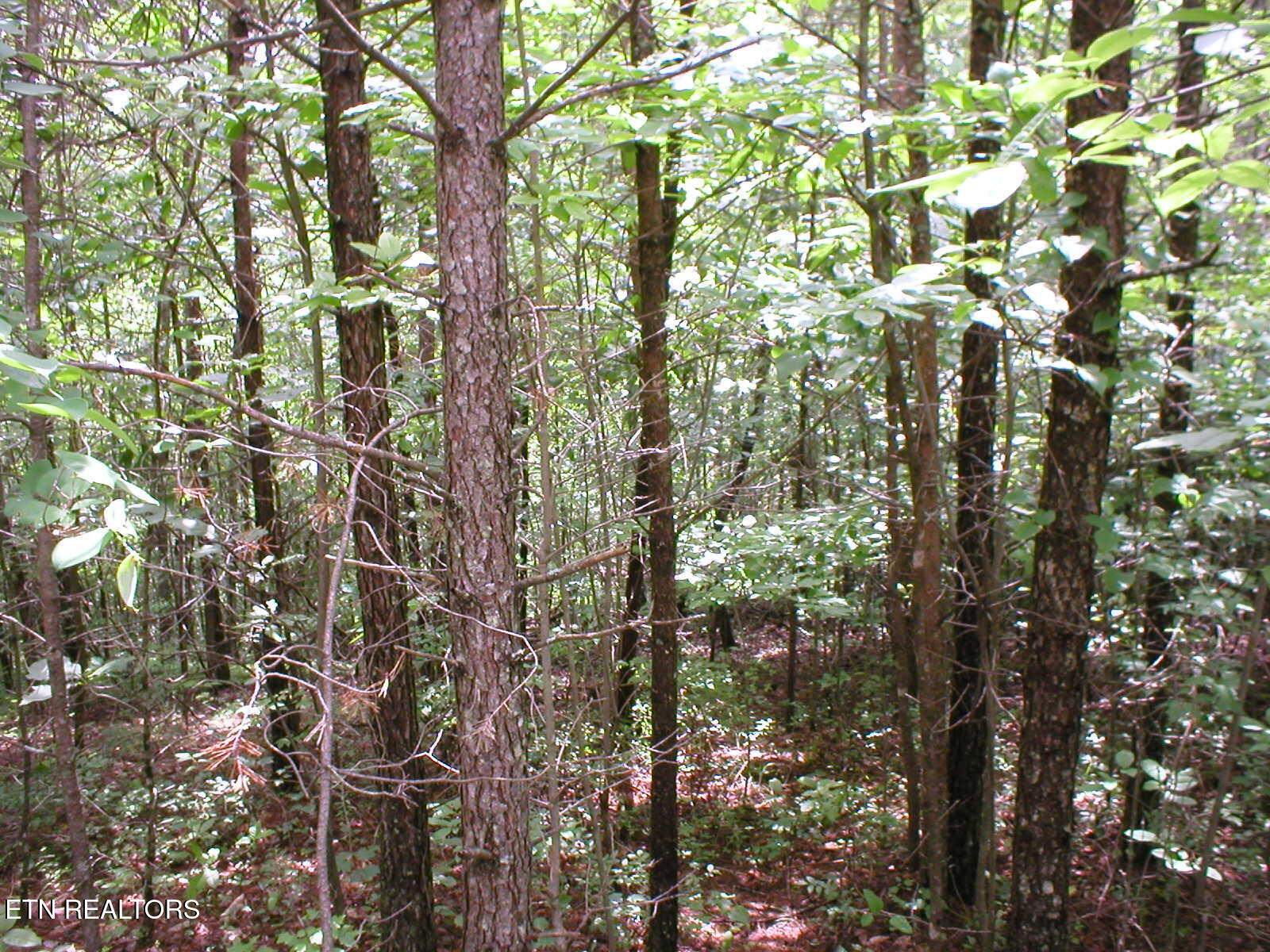 50 E Cove Road Monterey TN 38574