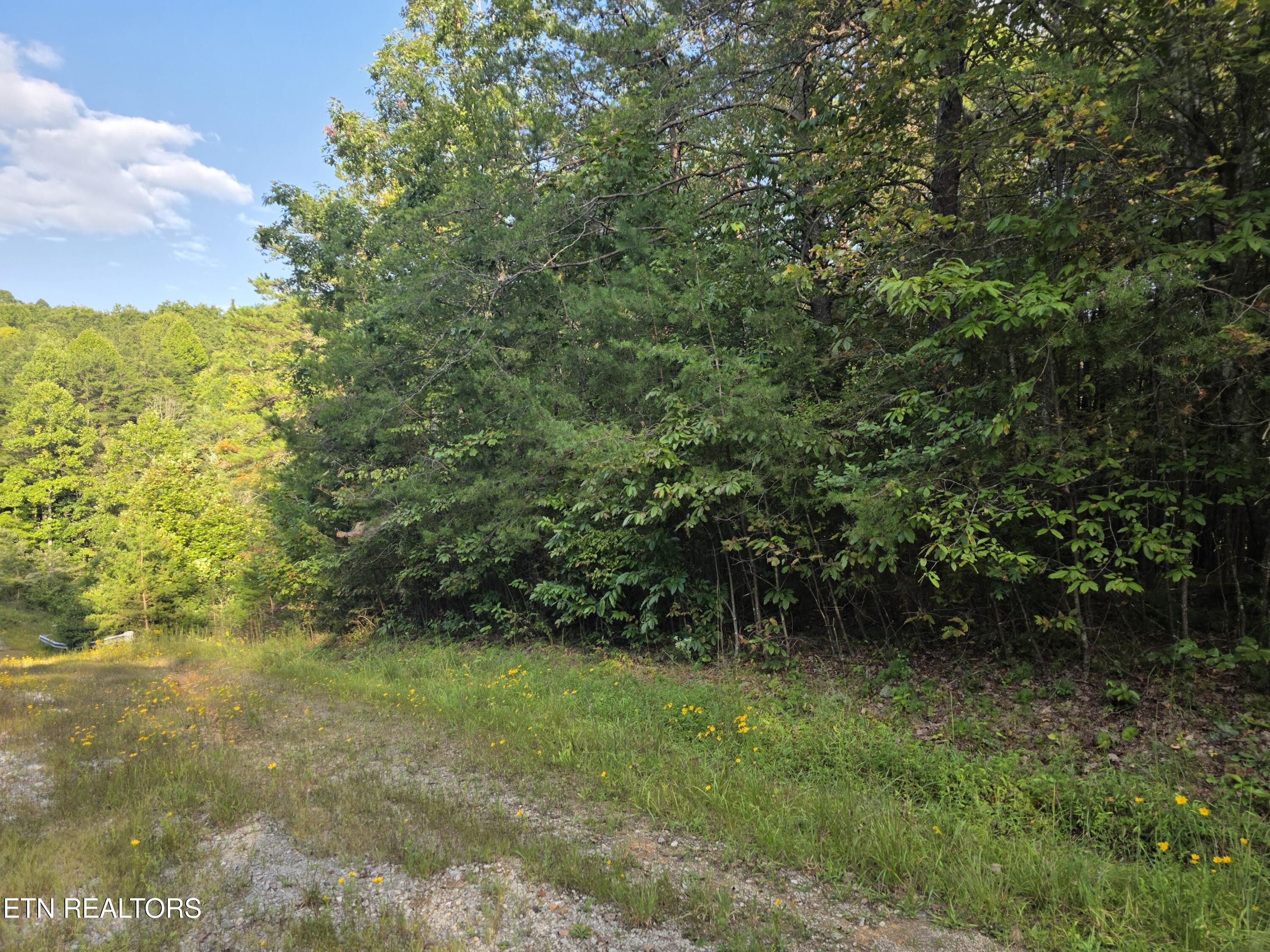 50 E Cove Road Monterey TN 38574