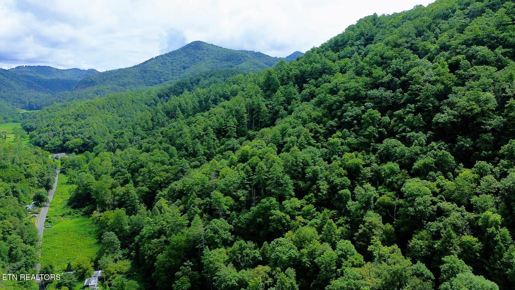 Carrs Creek 14 Acres Road Townsend TN 37882