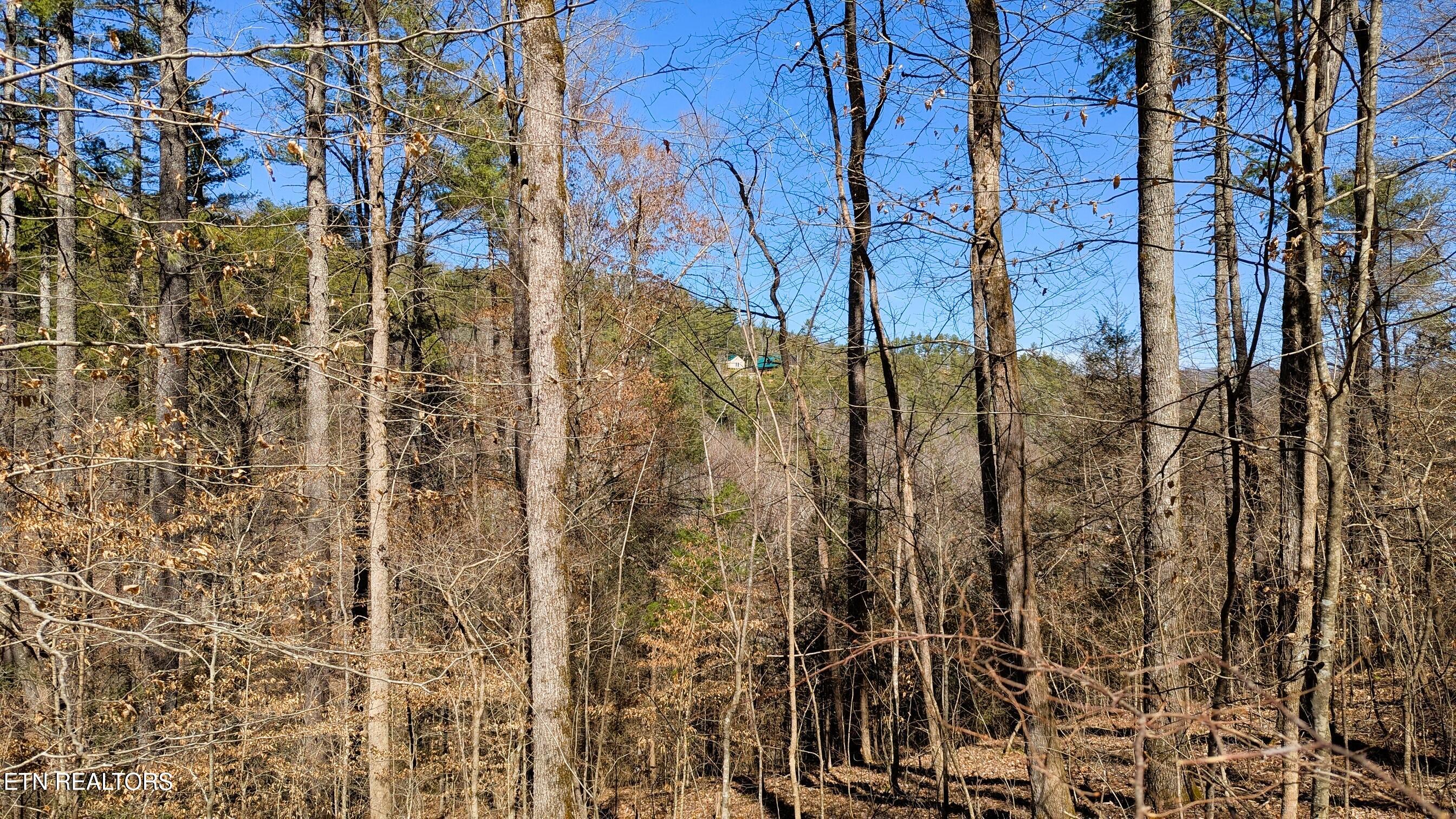 Carrs Creek 14 Acres Road Townsend TN 37882