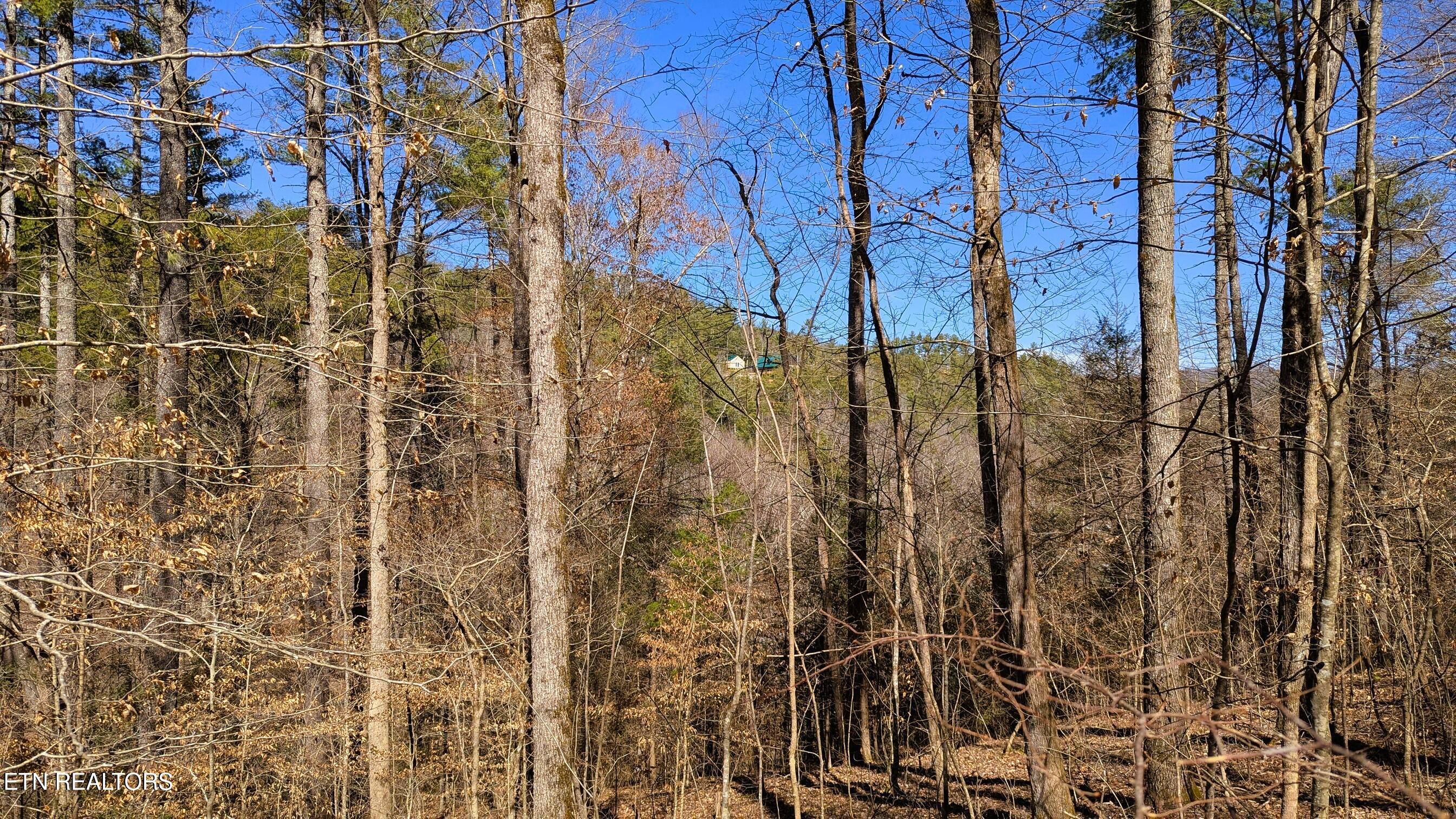 Carrs Creek 14 Acres Road Townsend TN 37882