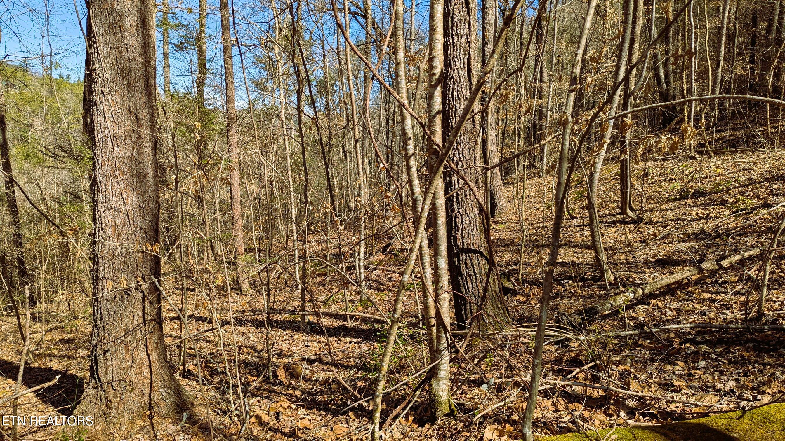 Carrs Creek 14 Acres Road Townsend TN 37882