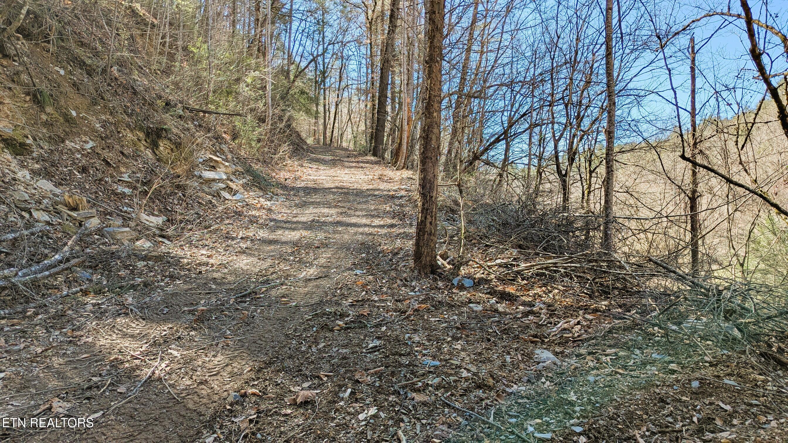 Carrs Creek 14 Acres Road Townsend TN 37882