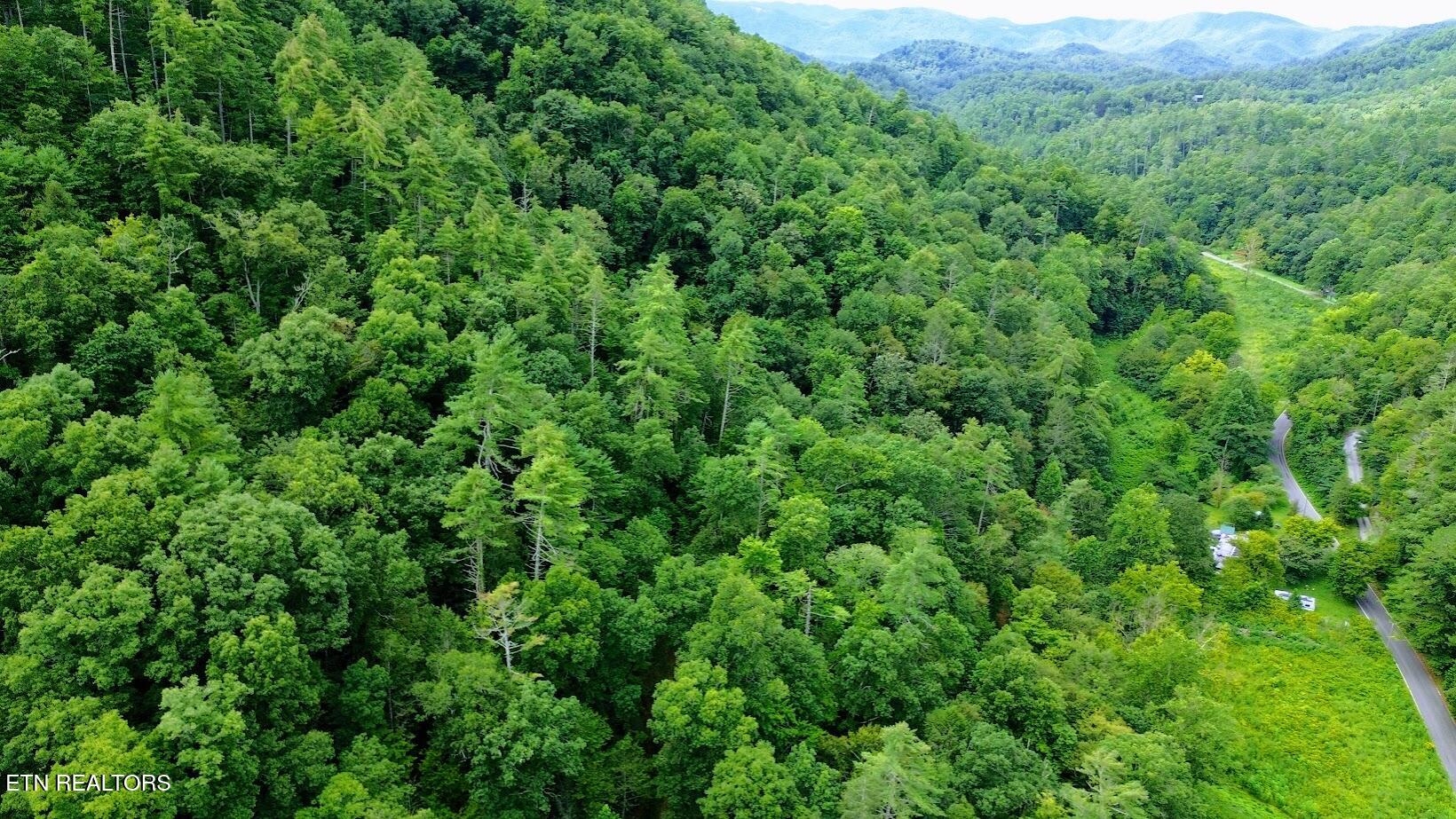 Carrs Creek 14 Acres Road Townsend TN 37882